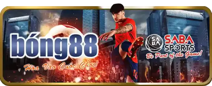 Dịch vụ CSKH tin888 chính thức